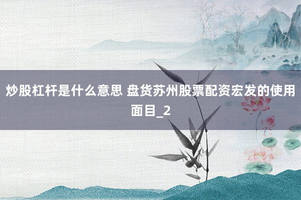 炒股杠杆是什么意思 盘货苏州股票配资宏发的使用面目_2