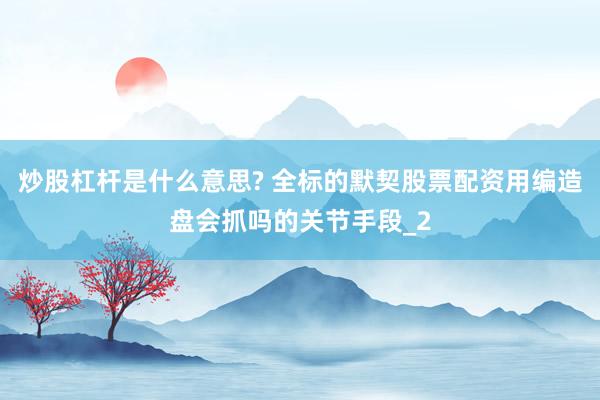 炒股杠杆是什么意思? 全标的默契股票配资用编造盘会抓吗的关节手段_2